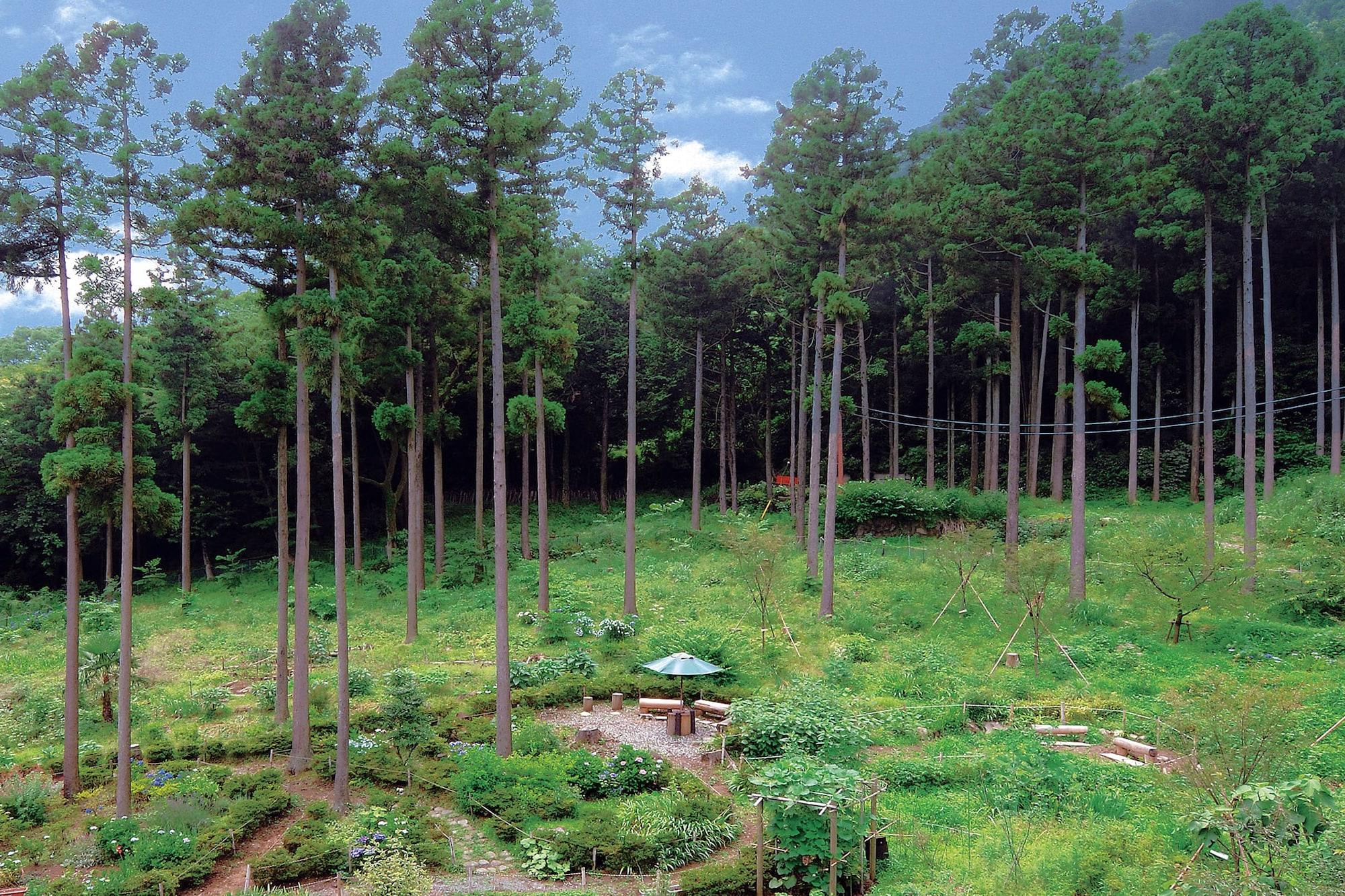 Hakonenomori Okada Exterior foto